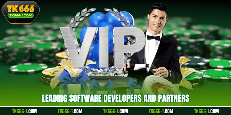 Leading software developers and partners