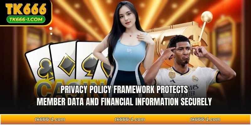 Privacy policy framework protects member data and financial information securely