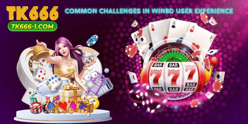 Common Challenges in WinBD user experience